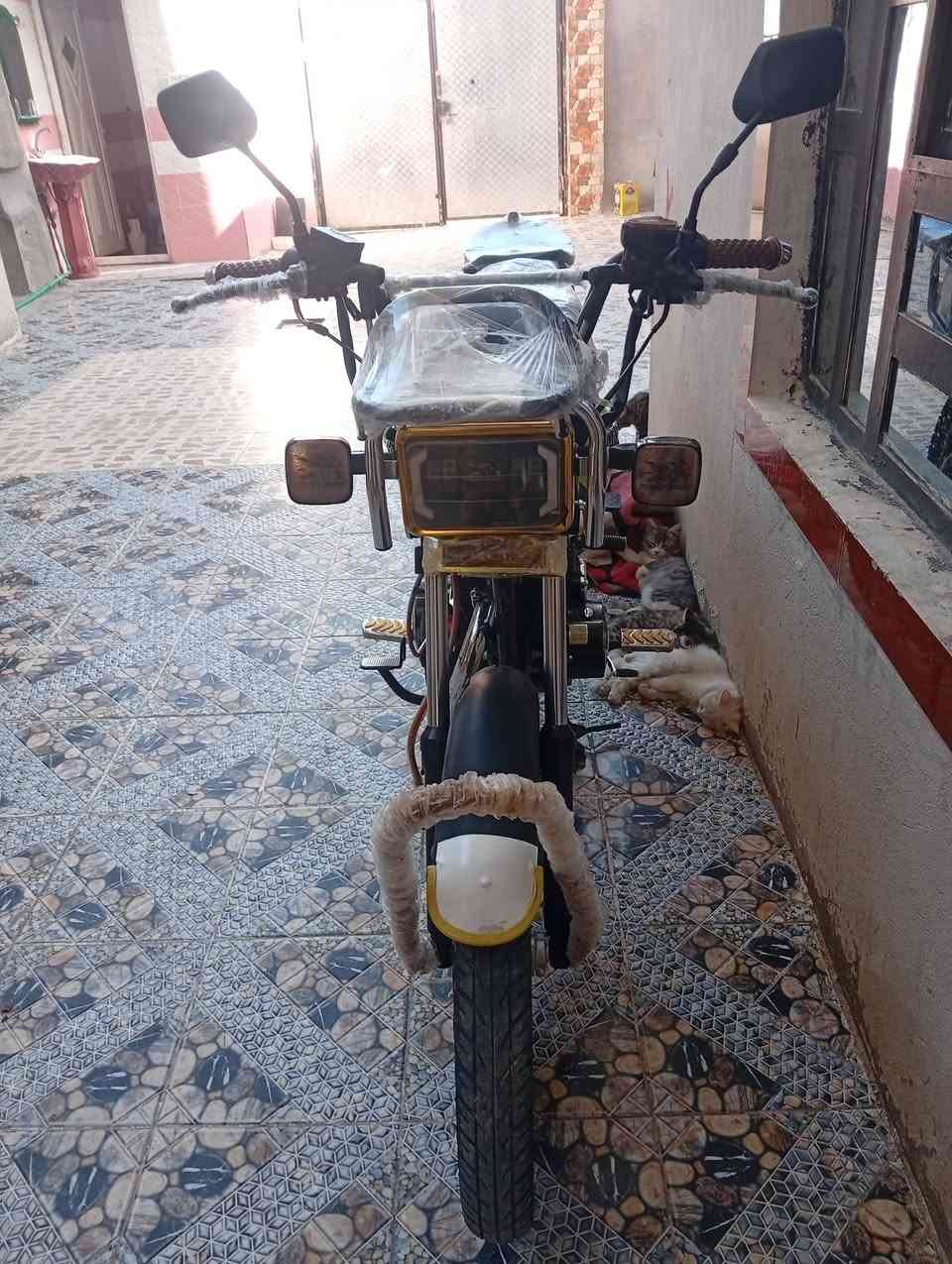 دراجه البيع موديل 2026 دراجه جديده ويه وصل شراء ع وضع شركه


**إذا كنت صاحب هذا الإعلان وتريد حذفه لأي سبب، رجاءا أرسل رسالة إلى الدعم الفني**