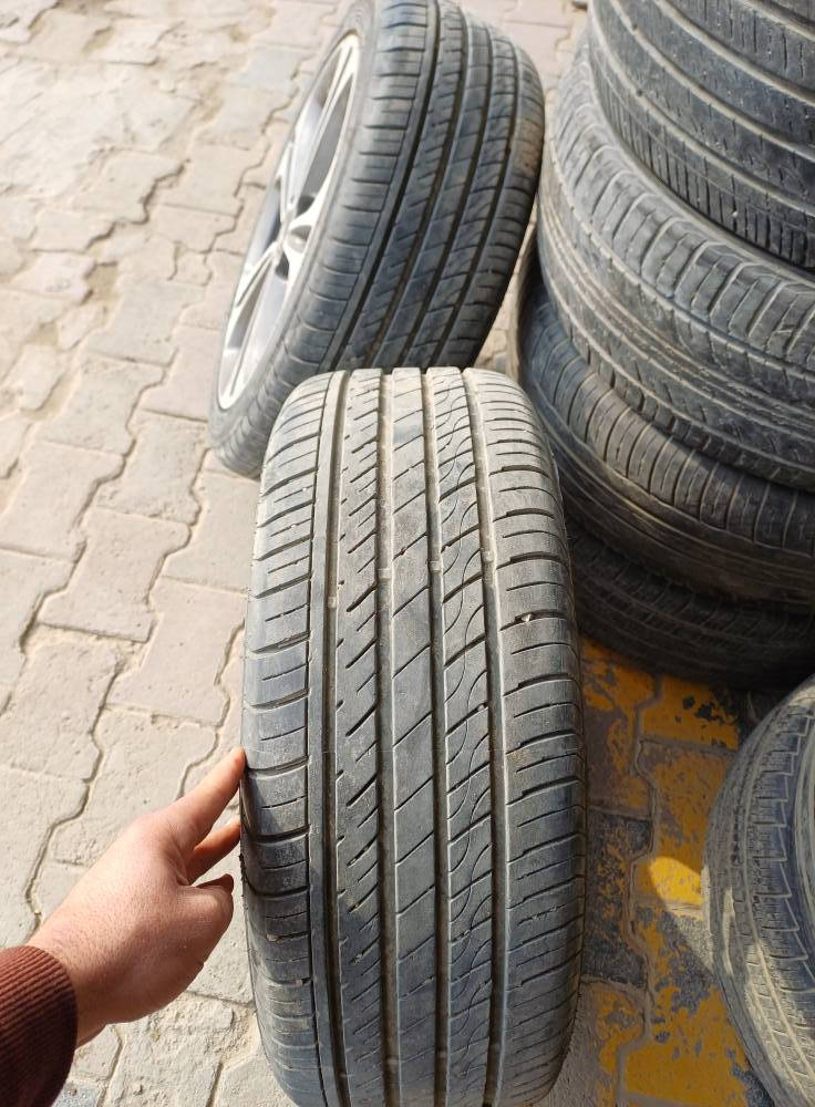 تخم ويل كب 17سعر 350او مراوس ويل 15
*********** الديوانيه شارع اليطارات
