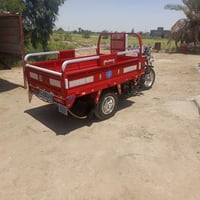ستوته • موديل ١٦ • مصبوغه