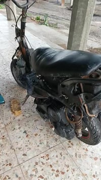 فراشه • قيم • بليرضه