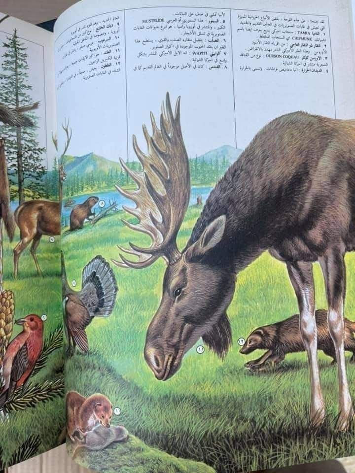 الموسوعة العالمية
21 مجلد
 حجم اطلسي كبير
الناشر : ترادكسيم - شركة مساهمة سويسرية - جنيف

للحجز او الاستفسار تواصل معنا على هذهِ الصفحة
 او على الواتساب والتلجرام على الرقم *********** 

 قناتنا على التلجرام : 
https://t.me/al_ahiba

 يوجد توصيل لجميع المحافظات

#كتب #العراق #بغداد #سامراء #صلاح_الدين #اربيل #سليمانية #دهوك #كربلاء
#الانبار #النجف #ديالى #ميسان  #كركوك #ذي_قار #الكوت #نينوى #الديوانية #المثنى #واسط #بابل #القادسية #البصرة #اقتباسات #اقرأ #علماء #تعليم
#رواق_ابن_المعتز
