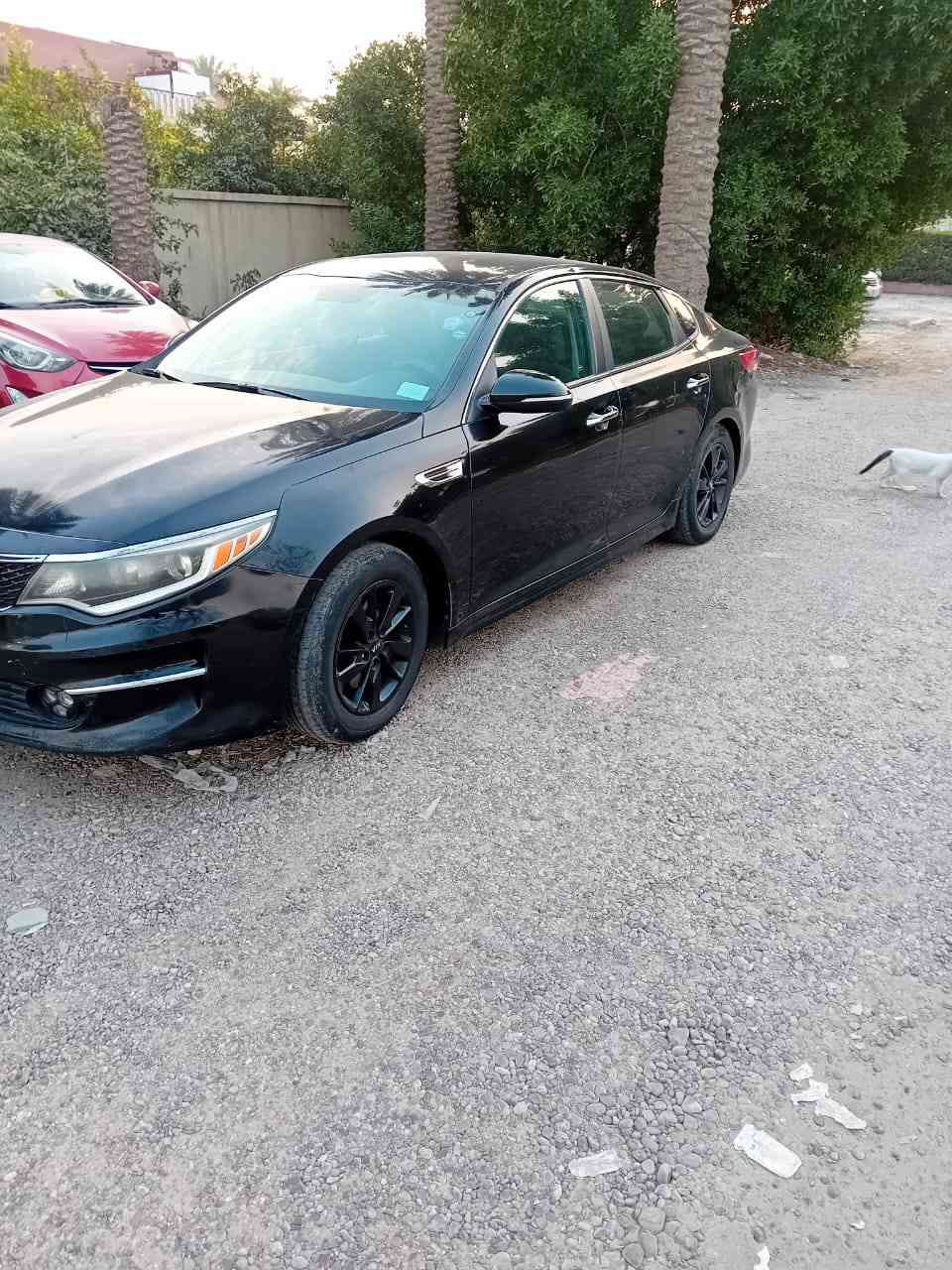 اسلام عليكم ابتنا 2018 رقم سليمانيه أصولي 
ابيع بدون تحويل مكينه وكير مكفولات على وضع شركه مكفوله من الكص سياره وارد امريكي 
المكان بغداد حي الجامعه
  
السعر 75

لاستفسار اكثر يرجآ لاتصال او واتساب 
***********
