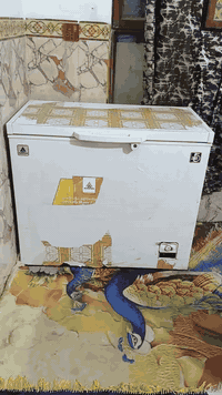 مجمده وبلازمه انضاف ماطبات تصليح البيع سعرهكلهن 2250 وهاذه رقم 0778348...