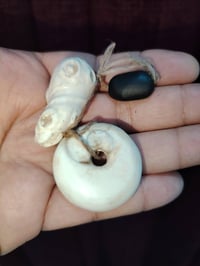 للبيع • تواصل خاص • توصيل