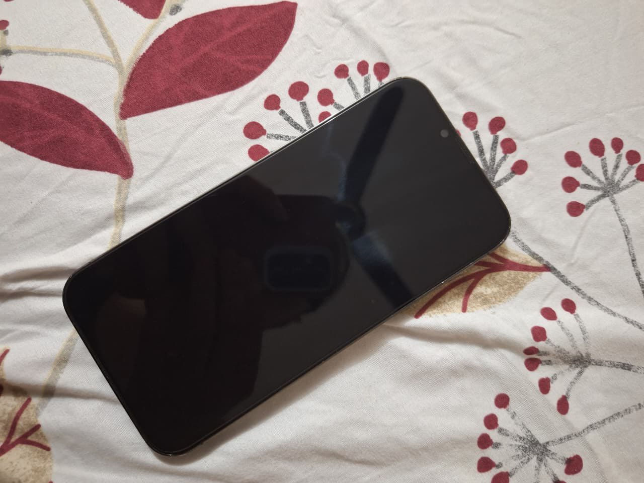 السلام عليكم ١٣ برو ماكس اريد مراوس ١٦ عادي او ألترا ٢٣ او ٢٤


**إذا كنت صاحب هذا الإعلان وتريد حذفه لأي سبب، رجاءا أرسل رسالة إلى الدعم الفني**