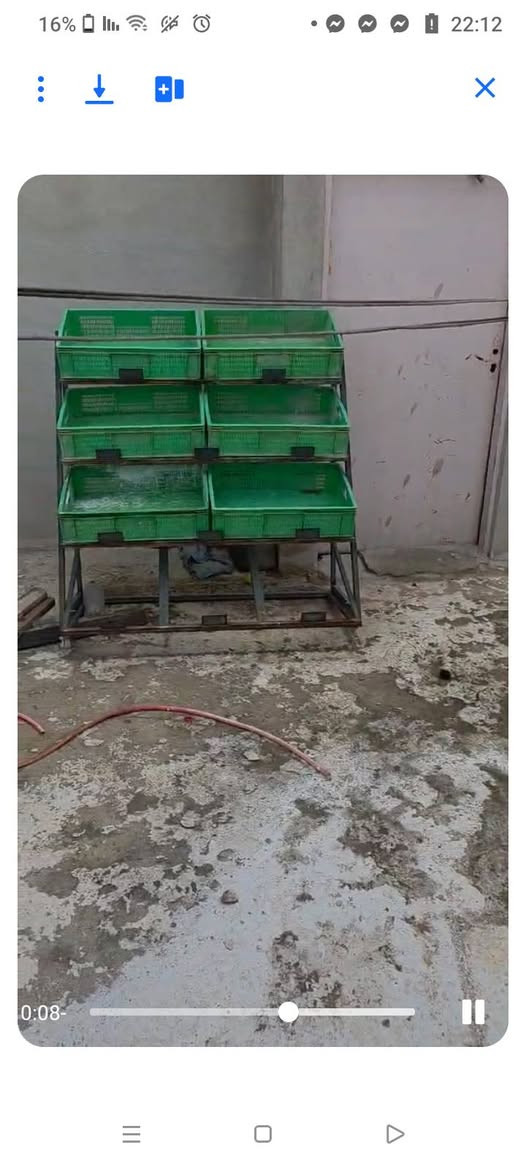 سلات مخظر وفواكه بيع مستعجل السعر كلهم ب150الف... عنوان موصل حي نابلس


**إذا كنت صاحب هذا الإعلان وتريد حذفه لأي سبب، رجاءا أرسل رسالة إلى الدعم الفني**