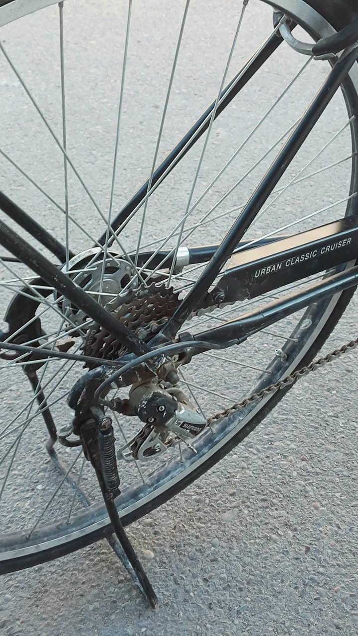 السلام عليكم
بايسكل بناتي حجم 28

 

المواصفات:

تايرات جديدة 

لايت أمامي شحن سريع 

كلج تبديل نمر 

مكينة خلفيه (عقرب- تحتوي 5 نمر)

مواصفات عاليه

هيكل البايسكل بجودة عالية

كشن(سرج) نوعية جيده

الويل المنيوم 

والباقي ما يحتاج شرح لأن بعده جديد

( سعر البايسكل 130 وبي مجال)

مكاني بغداد حي الجهاد 

***********
