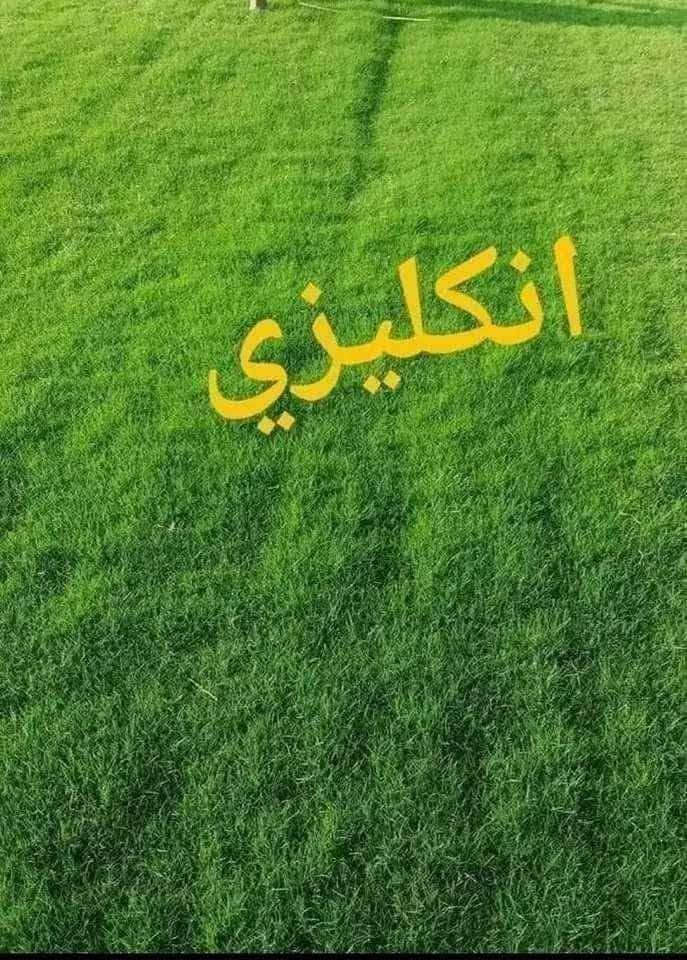 هةموو جؤرة چيمةن لامان بةردةستة
گةياندن بةردةستة
جؤرةكاني چيمةن بةردةستن👈  هندي_ اسباني_ انگليزي_  ايطالي _ فرنسي      هةموو جؤرةكان  چوار وةرزي سال  سةوزو گةشاوةية 
بؤ حةديقةي مال 🏠
بؤ ياريگا 🏟
بؤ مةشتل 🌳
بؤ پرؤژة 🏢
بؤ هةموو شتيك تؤ ئةتةويت 
 هةر بريک تؤ ئةتةويت ئامادةين دابيني بكةين ستافي خؤمان هةية  بؤ داناني چيمةن  داناني مرةشة   ديزايني هةموو جؤرة باخچةيةك 
تؤ تةنها پيوةندي بكة دةيگةينين  بةر دةرگا لةهةر شؤينيك بيت 
***********
