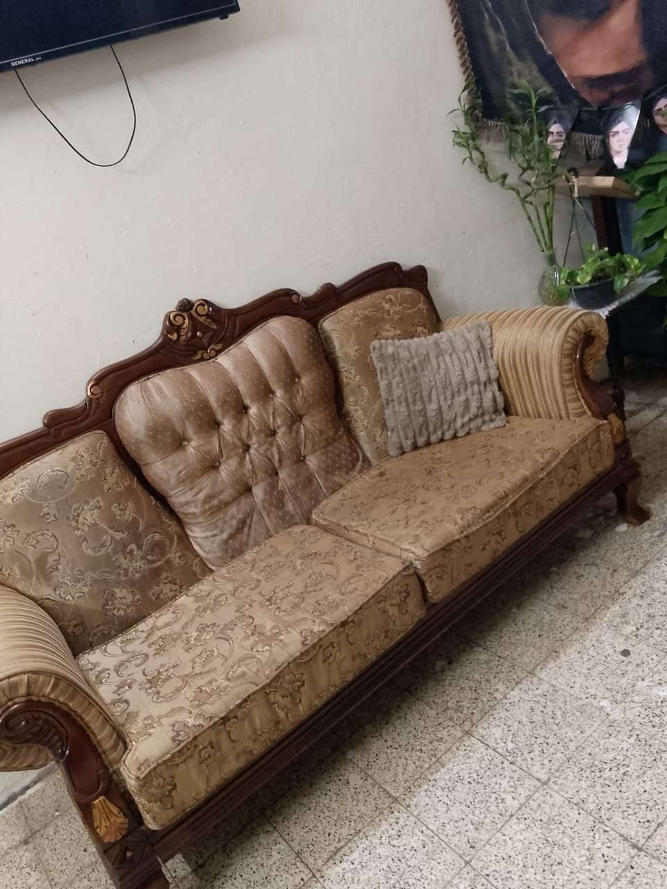 ‎ﺗﺨﻢ زان ﻣﺼﺮي ١٠ ﻣﻘﺎﻋﺪ.ﺳﻌﺮ ٤٥٠ اﻟﻒ ﻋﻨﻮان ﻛﺮﻳﻌﺎت ***********‎
