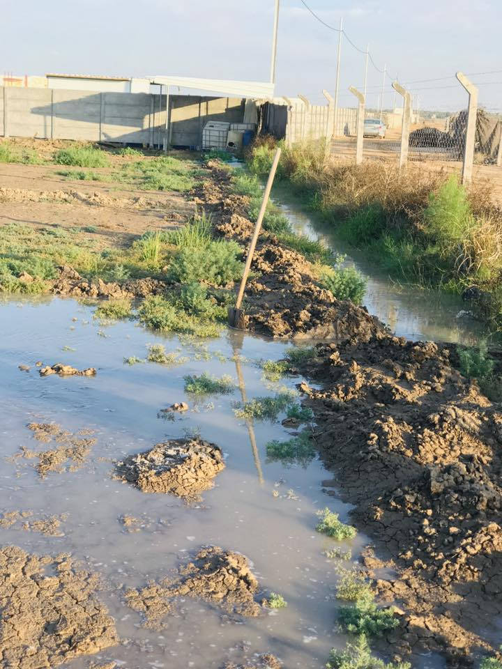 سلام عليكم دونم للبيع 2500 متر طابو زراعي سند 25 بأسمي وتتوفر جميع الخدمات مي كهرباء شارع 8 متر 
العنوان النيل قرب جامع موسى الكاظم 

الاستفسار اتصل ***********
