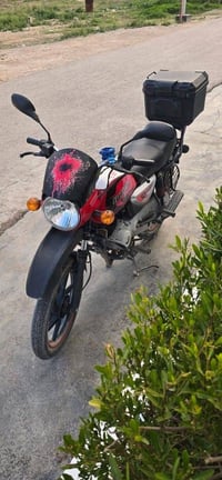 بوكسر جبلي • ٢٠٢١ • مجفته