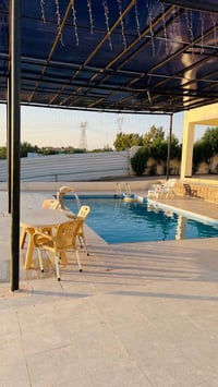 📍 [مزارع حسين العلي ] 🌱 منتجات طازجة من قلب الطبيعة /  📍 [الموقع/ سلما...