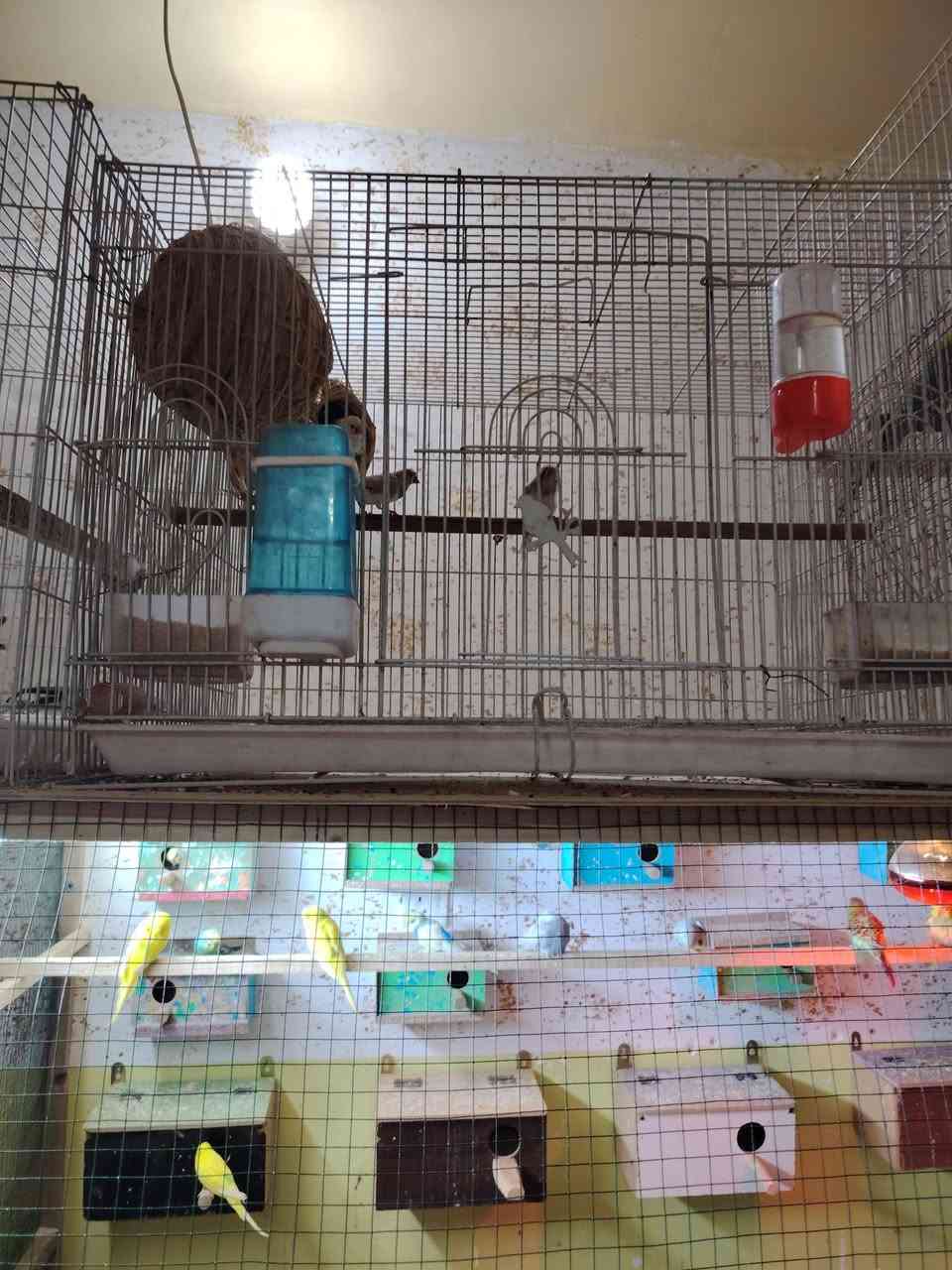 خانات 60×40×40السعر10وخانه60×40السعر8كربلاء الحر***********
