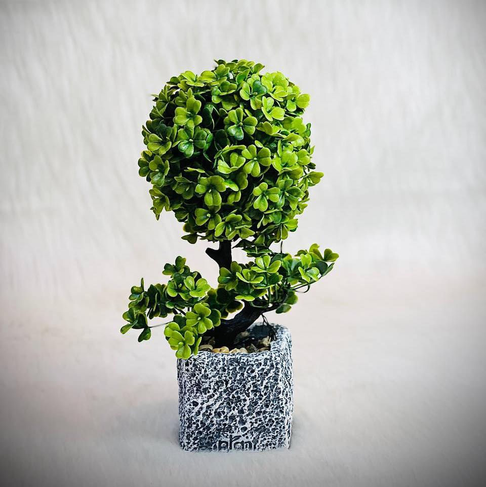 سندان + نبات صناعي حجم صغير 🪴 
السعر ( 6,000 ) دينار ✅

خدمة التوصيل متوفرة داخل الموصل وجميع محافظات العراق 🚕

للطلب او الاستفسار يرجى مراسلتنا على صفحات التواصل الاجتماعي 📨
او الاتصال على : 📱
كورك : *********** 
اسياسيل : ***********

العنوان : الموصل / حي الفلاح - مدخل الملعب - شارع ١٥ مقابل العمارة الزرقاء 📍
