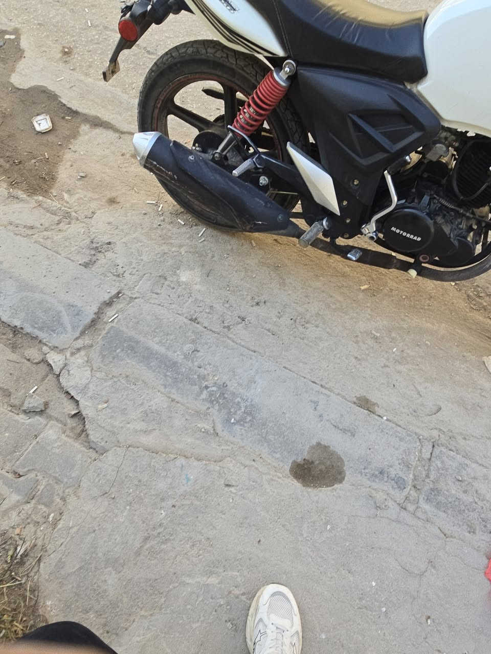 السلام عليكم دراجة دايون موتر رود للبيع اوراق اصولي و ماشي بل معاملة مال ترقيم مكمل اغلب الاجرأت موديل الدراجة 23 مشاشيه 4 الاف 
السعر 1550 وبيها مجال 
*********** 
دشبول الدراجه موجود 
مكاني بابل الحله
