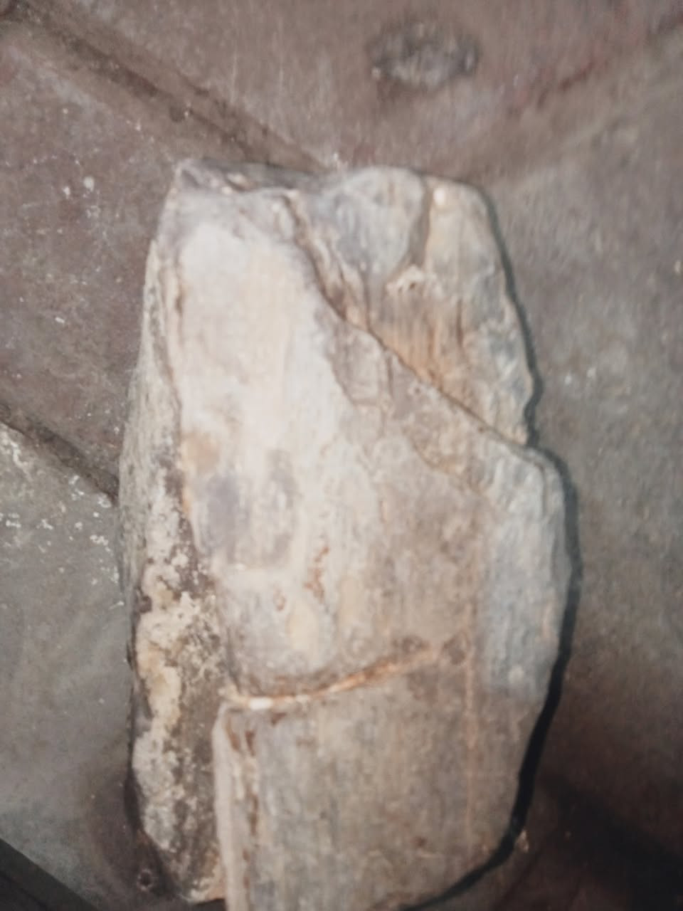 صخره خشبيه تعود عمرها ملايين السنين


**إذا كنت صاحب هذا الإعلان وتريد حذفه لأي سبب، رجاءا أرسل رسالة إلى الدعم الفني**