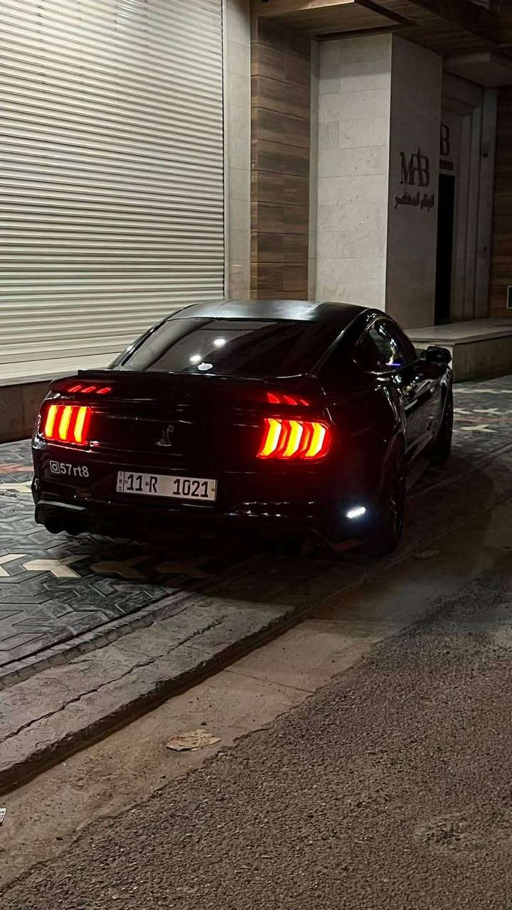 موستنك جي تي 2016 
ماشية 66.000 KM 
قطعتين من امريكا جاملغ بونيد بدون دواخل بدون شاصي
بلعراق انظربت جاملغ خلفي 
السيارة كلش نضيفة ونصبتها خرافي 
اكزوز طرب على ريمونت 
برمجة فول
بيع -- مراوس 
السعر 160 ورقة كركوك, العراق


**إذا كنت صاحب هذا الإعلان وتريد حذفه لأي سبب، رجاءا أرسل رسالة إلى الدعم الفني**