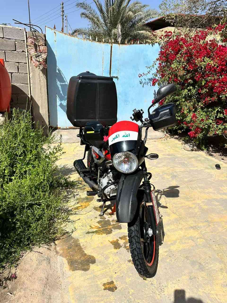 بوكسر للبيع جبلي
رقم مجفته صار يومين شرط ما تسمع صوت بلادي
تواصل راسلني واتساب ***********
