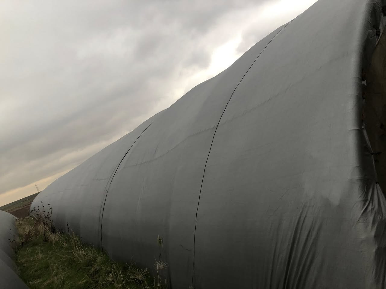 السلام عليكم حقل دواجن للبيع طول ٤٤ متر العرض ٩ الحديد جديد المعالف المنهال العازل جادر لايلون حاضنات خزانات ماء ساحبات صحراوي تهويات تاسيس كهرب تاسيس ماء غراض قاعه كامل جاهز مابي اي نقص سعه ٦ تالاف دجاج عنوان موصل 
***********
***********
***********
