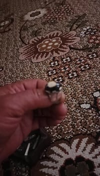 معطف • أحمر • سليماني