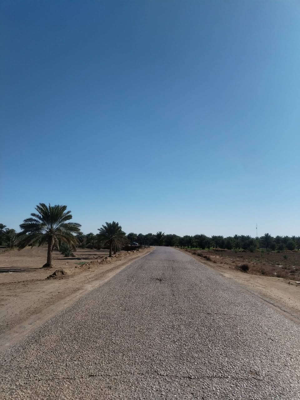 2دونم للبيع طابو سند 25 بسمي سعر الدونم 27ولقبله ب28سنتر عل شارع عرضه 15متر 078188088
خلف جامعه بابل الارض تبعَد عن جامعه بابل 3كيلو تبليط وشارع رسمي عرضه 15متر راح اكمله سبيس وتويله سعر بلاش وفرصه لشراء والأرض
نقد واقصاد اهلا وسهلا


**إذا كنت صاحب هذا الإعلان وتريد حذفه لأي سبب، رجاءا أرسل رسالة إلى الدعم الفني**