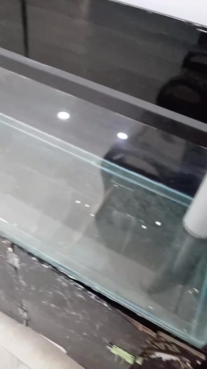 رجاءا مو شراي لا تشلع كلبي
سلام عليكم حوض سمك عملاق ١٢٠ سانتيم عمل ثخين مع منظومة سامب مع ملحقات ماطور اوكسجين وجريش ١٠ كيلو وحجر ١٠ كيلو مع فخارات للجمالية عدد ٣ كل هذا بسعر اخو البلاش ٢٣٠ الف سكن بغداد الجديدة رقم التليفون
 ***********
