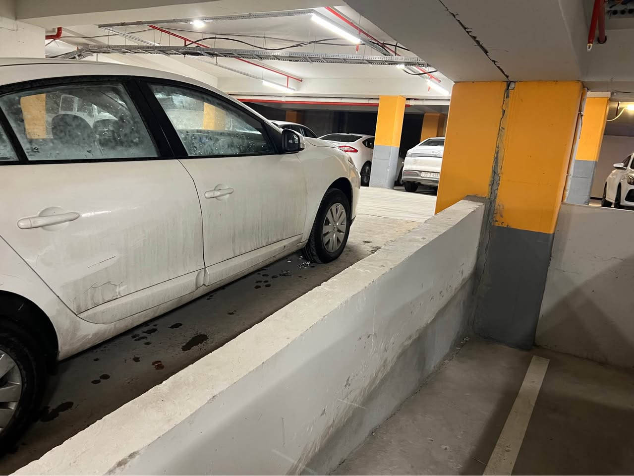 ڕینۆ فلۆنس ۲٠۱۲ سپی مەکینە تیدا وگێڕ و مەکینەی بە شەرت و سێ پارچەی بۆیاخە پێش و دوای کەبس سەنەوی بەسەر چووە سعری ٥۹ گەڵاو کەمێک معامەلە .       ٠۷۷۱۹٦۸٠٤٤٥ السليمانية, العراق


**إذا كنت صاحب هذا الإعلان وتريد حذفه لأي سبب، رجاءا أرسل رسالة إلى الدعم الفني**