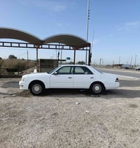 رأس الثور • ١٩٩٥ • كركوك