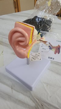 مجسم • ديكور منزلي