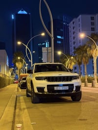 جيب ٢٠٢٢ • ٧ راكب • ٥٠٠٠٠ ميل
