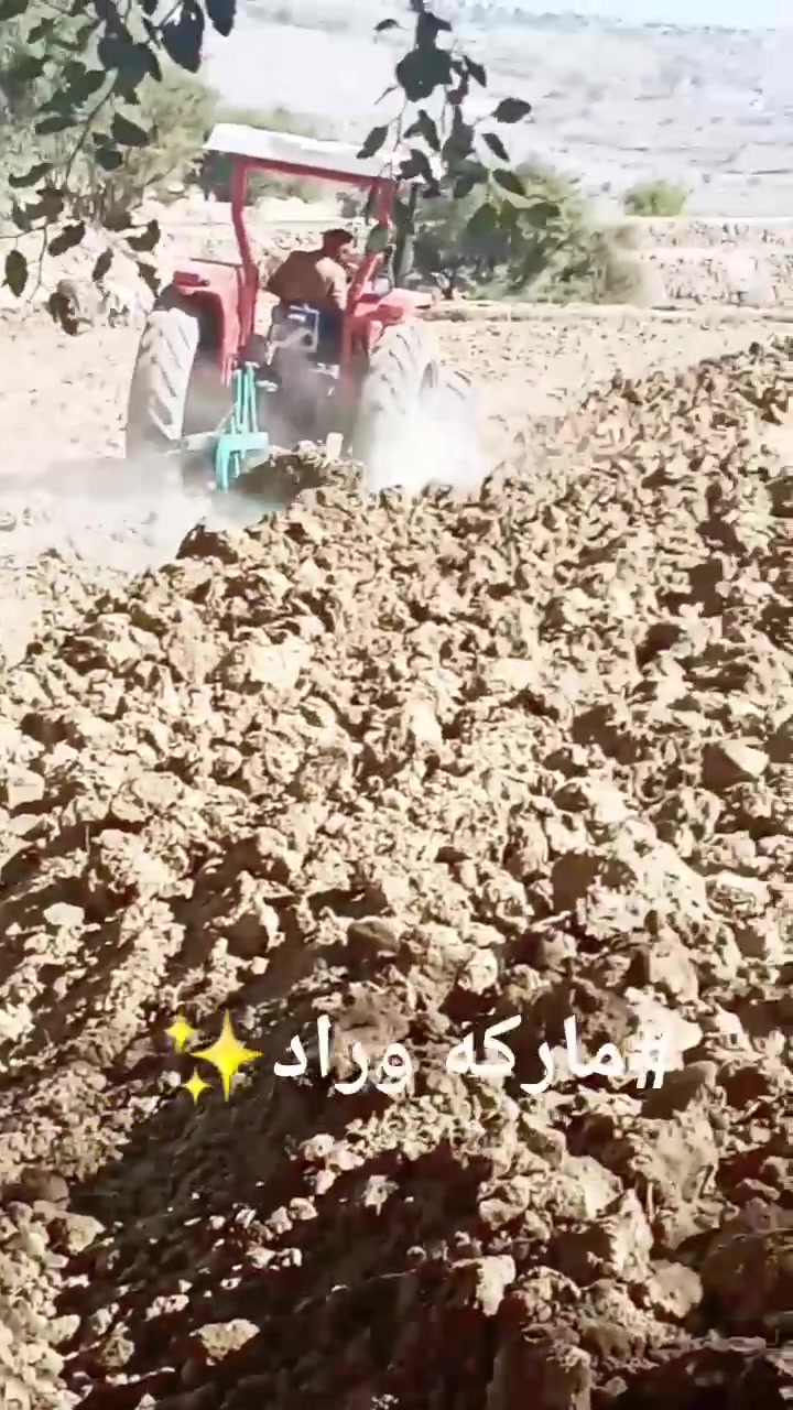 #روعة 🚜👇


**إذا كنت صاحب هذا الإعلان وتريد حذفه لأي سبب، رجاءا أرسل رسالة إلى الدعم الفني**