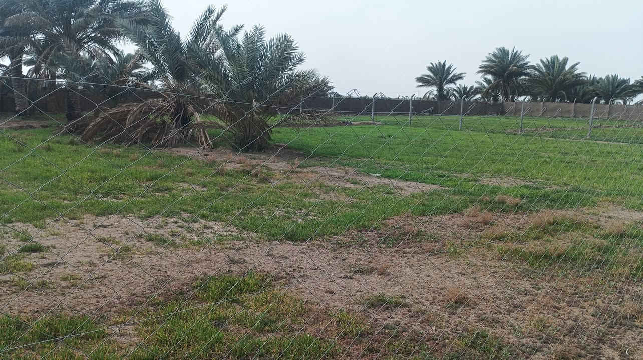 يا الله يتوفر دونم
تفاصيل 
مساحه الارض 2500م 
جنس الأرض طابو زراعي سند25 تحويل ملكيه مباشر 
يتوفر مغروسات الأرض حلوه مرتبه 
تريده سكن استثمار مزرعه 
الخدمات قريبه عليه جدا 
موقع العقار طريق حله نجف خلف جامعه بابل مباشر 
لتواصل ***********
