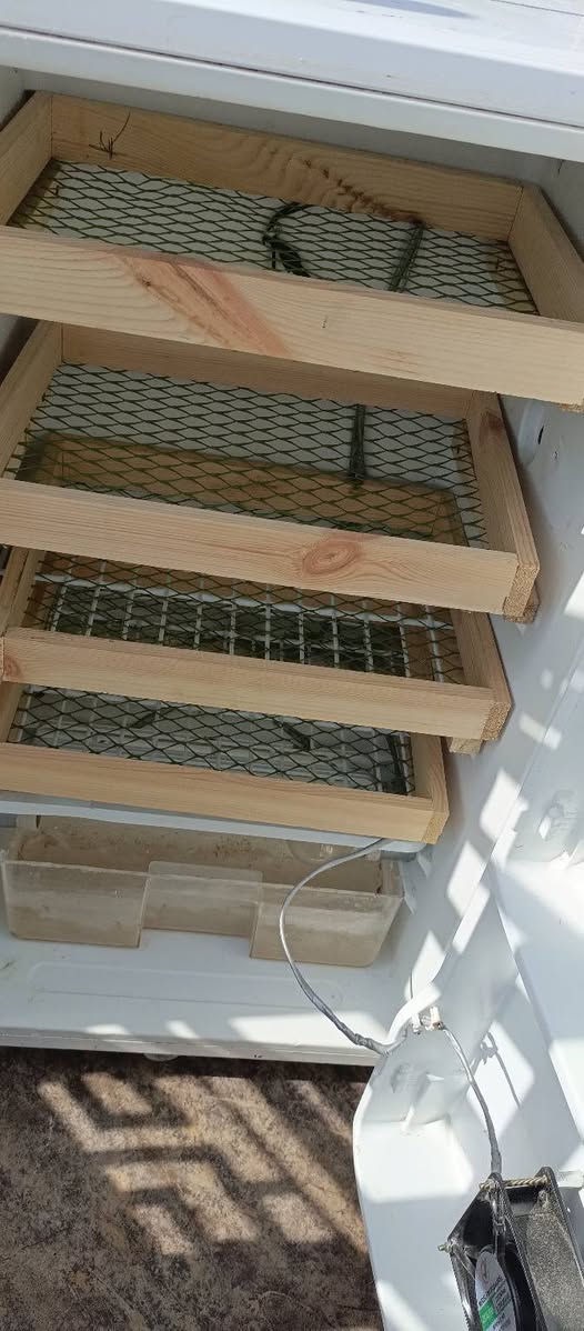 سلام عليكم فقاسة تقليب يدوي للبيع نسبة تفقيس خير من الله


**إذا كنت صاحب هذا الإعلان وتريد حذفه لأي سبب، رجاءا أرسل رسالة إلى الدعم الفني**