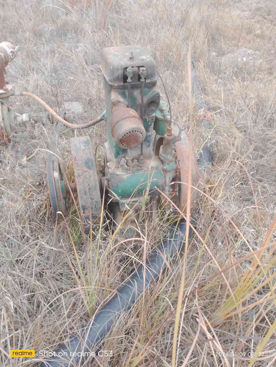 لستر ويا خنزيره للبيع ***********
