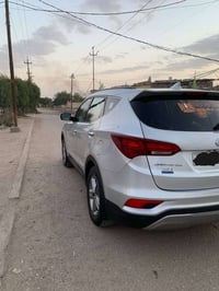 سنتافي • ٢٠١٨ • مصبوغات