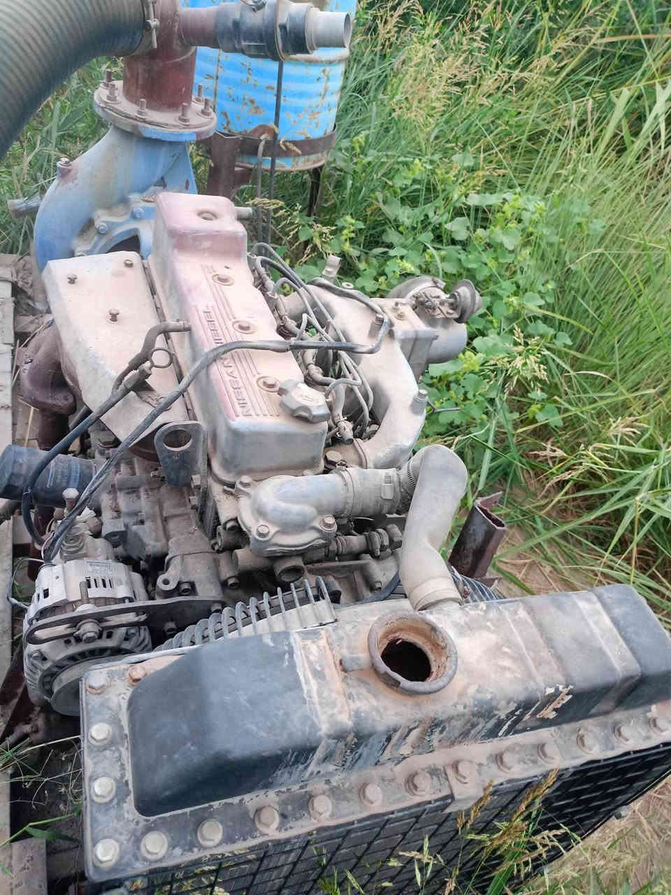 محرك نيسان اربع سلندر كاز الخنزيزه 8*6 المكان ديالئ الخالص سعديه الشط     للبيع
***********الرقم ***********
