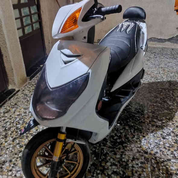 سلام عليكم سكنس فحل نوزل خطين دراجه عليه تزويد كبالك سعر 850 وبيه مجال بغداد حسينيه ***********
