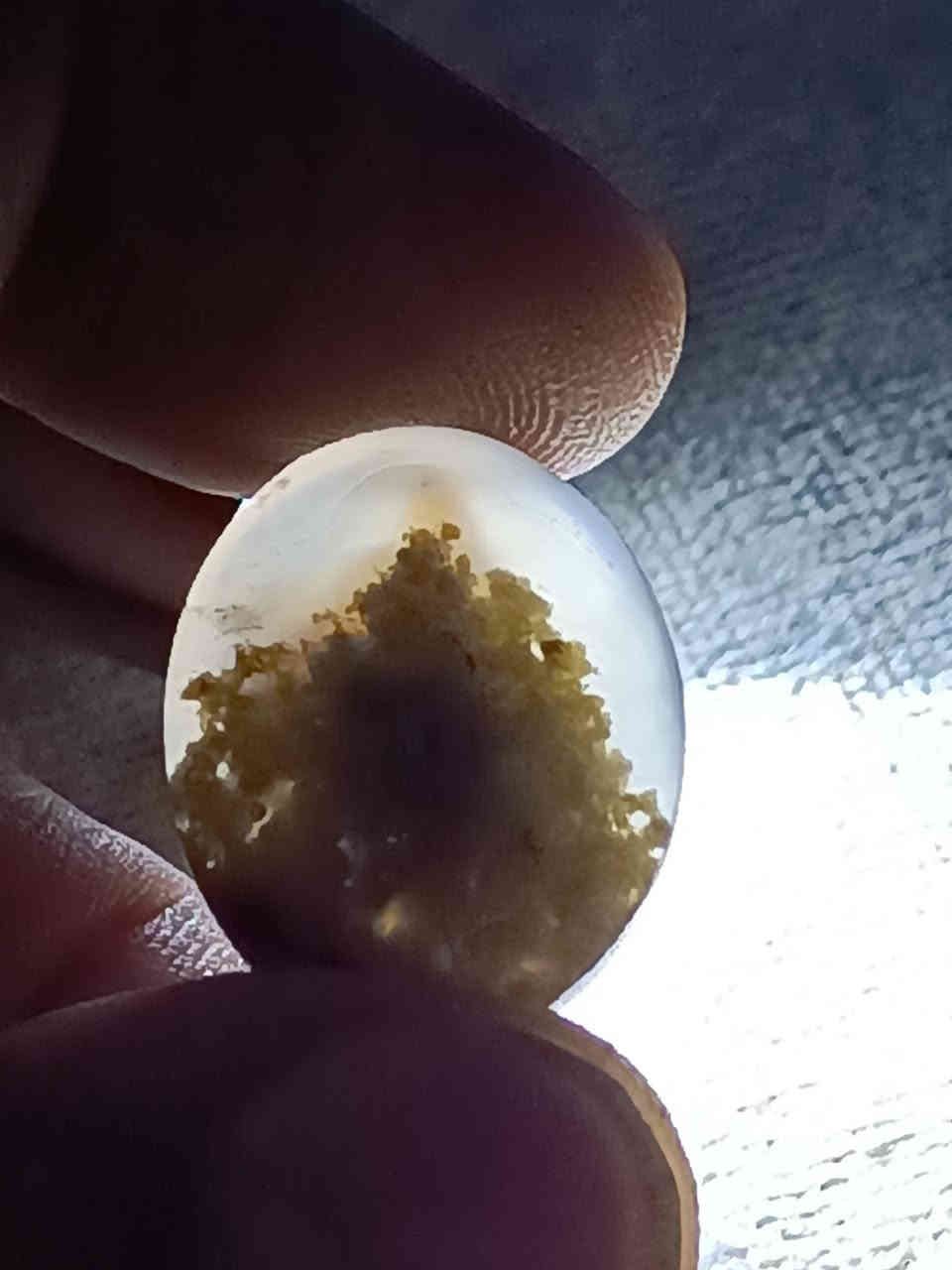 السلام عليكم زبائني الكرام أقدم لكم المصور اليماني الطبيعي عباره عن لوحات ويوجد جميع انواع اليماني والنوادر العنوان بغداد الميدان شارع السبح مراسله أو أتصال رقمي *********** ملاحظه رجائا ماأريد واحد يكلي شوفلي حجره اومحبس
