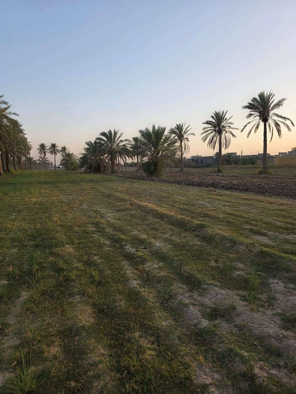 السعر للدونم الواحد 36 ))
مزرعه تتكون من 8 دوانم بالفلوجه منطقة الشهابي مقاطعه 13 خلف معمل السمنت يم مجمع الماسه الجديد قريب على جامع المصطفى ﷺ 
صايره على شارعين وبيهه مياه اساله وبيهه بير ارتوازي ومسيجه بالكامل BRC 
الارض كلش حلوة مثل ماموضح بالصور 
بيهه نخل وزرع. 
للاستفسار يرجى مراسله الرقم على الواتساب 
+9647886914614(غير متوفر بالخط فقط واتساب))


**إذا كنت صاحب هذا الإعلان وتريد حذفه لأي سبب، رجاءا أرسل رسالة إلى الدعم الفني**