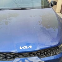 K5 جي تي لاين • ٢٠٢١ • ٦٦٠٠٠