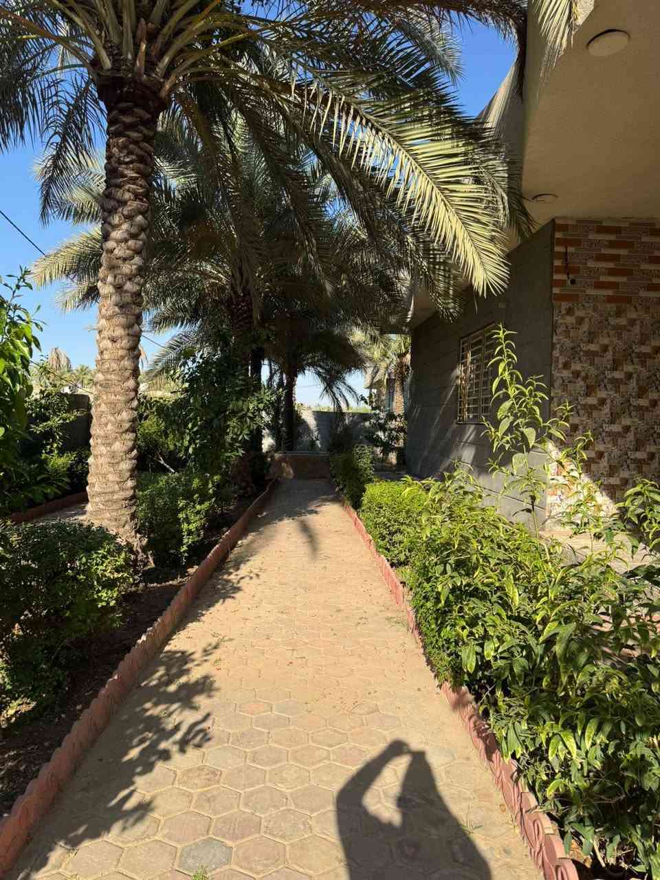 للبيع نصف دونم سند 25 تحويل بأسم المشتري 
يحتوي على بيت  بناء حديث  مساحة البيت 250. متر
 بي 4 غرف نوم  استقبال صاله البيت خريطة كلش حلوة مطبخ حار وبارد 
ويحتوي على 12 نخلة كلهن محملات
العنوان /   كربلاء  ،، منطقة الحافظ خلف مشتل العتبة الحسينية يبعد عن الشارع العام 600. متر
 متوفر  كافة الخدمات كهرباء وطني كهرباء مولده الشارع  * ماء اساله باب البيت 
للاستفسار اتصل على  
***********
