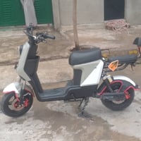 دراجة شحن • نظيفة