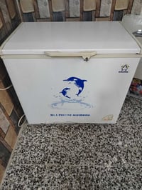 مجمدة • غزاليه