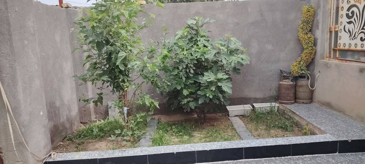 بيت للبيع زراعي سند 25 
مساحة 200
 بحامي الشمال كاع عامر جاهز وجكيته 🥰
صالتين بي وحده كبيره وثانيه زغيره وغرف عدد ثنين بس مشط
ما مبنيات 
   مطبخ      استقبال
صحيات خارجيه وداخليه
 طرمه     جاهزه للسكن

#السعر 55وبي مجال
***********☎
مندوب عقارات
عندك عقار نعرضلك تعال خاص
