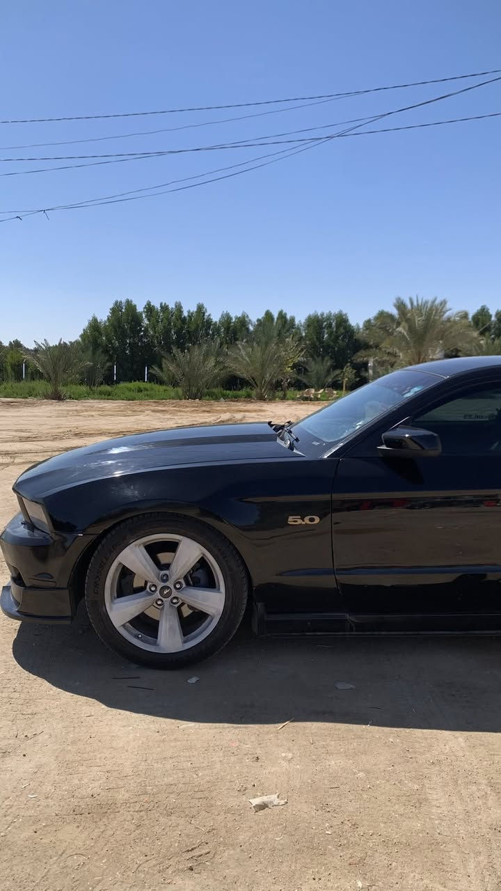 موستنك مديل 12 بريميوم 
مكينه كير توني شادهن كير عادي سياره قويه الضرر فقط ٣ قطع صبغ بدون دواخل 

فيت بم ربسنك 

بلكات ريسنك 

نوزلات جدد

لحيه rtr 

تبريد تدفئة كله شغال

اكزوز ٢ونص انج 

اوركل ترحيب 

سستم صوت وشاشه

سقف روز 

سياره كلش هواي صارف عليه نضيفه كلش دعامه خلفيه من شركه ما مفتوحه 

بكلايت فيراري

عليه 

اكسل جيتي 

تحويل أو وكاله 

للبيع أو مراوس 

رقم ***********

المكان ناصريه مركز
