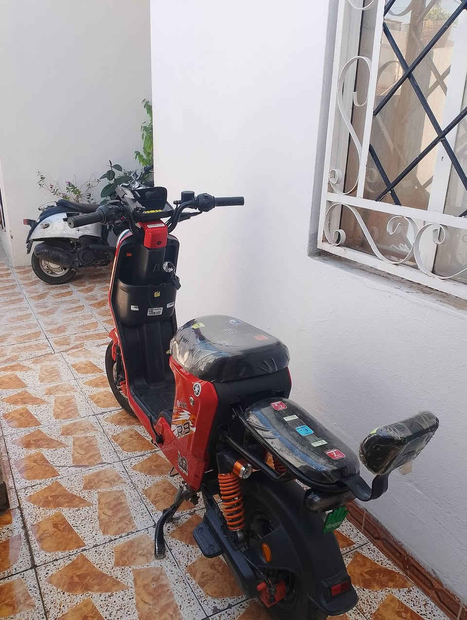 *********** كركوك=300
