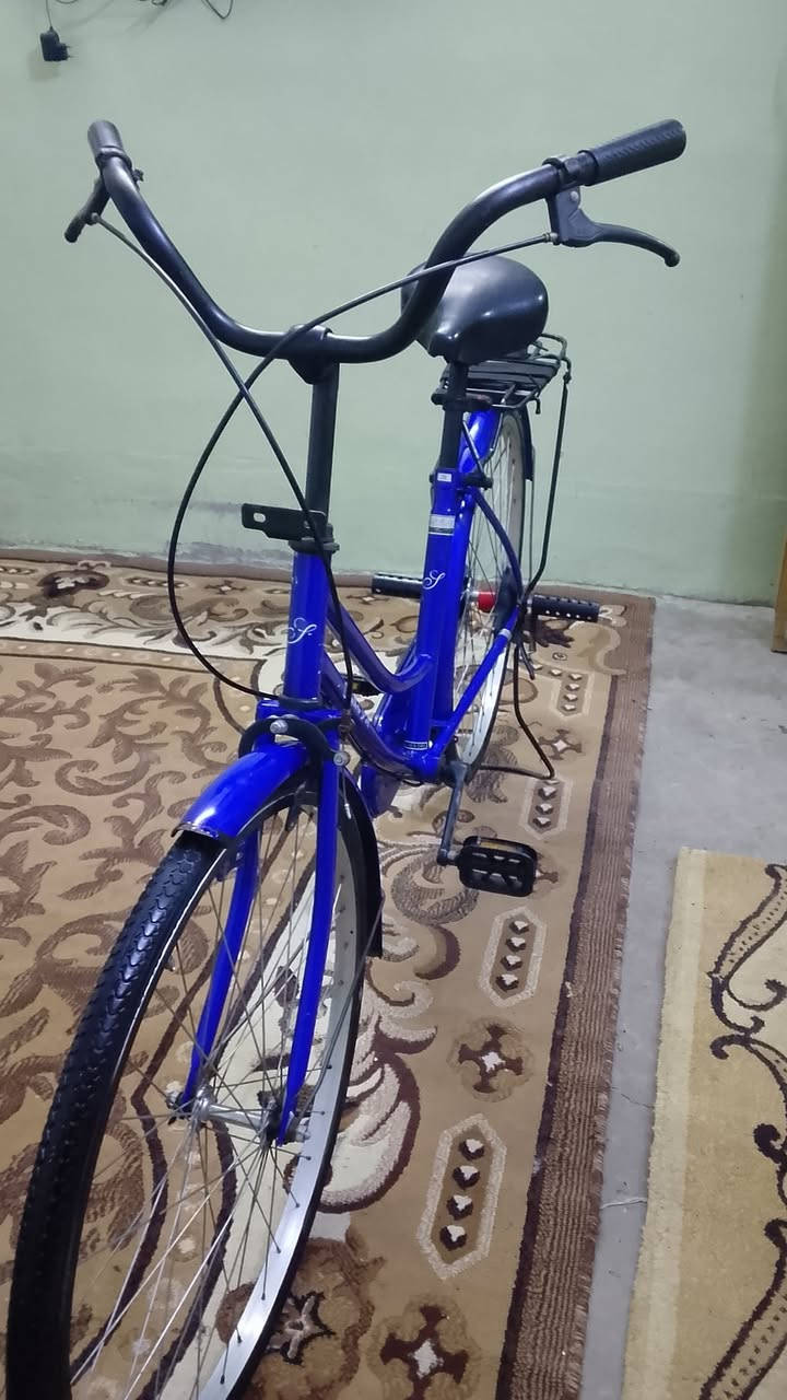 سلام عليكم***********
السعر 100 وبي مجال
