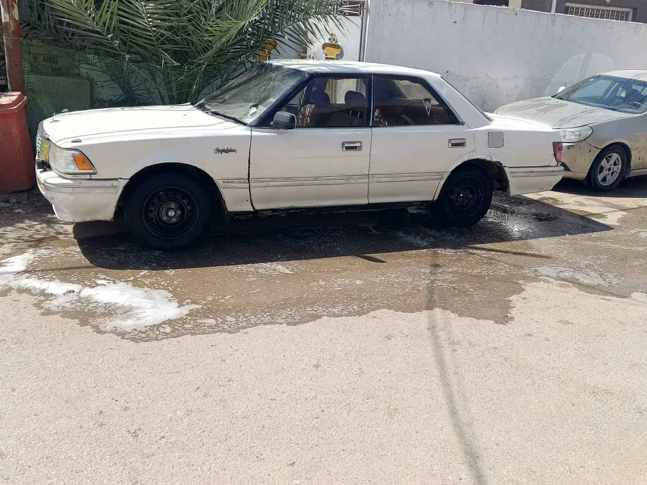 هارتوب مكينه وكير كارتون مال ملكه ضفيره جديده كهربائيات شغاله بدون راعي رقم قادسيه سنويه منتهيه ٢٠٢١ السعر ٢٣ مكاني دوانيه ***********
