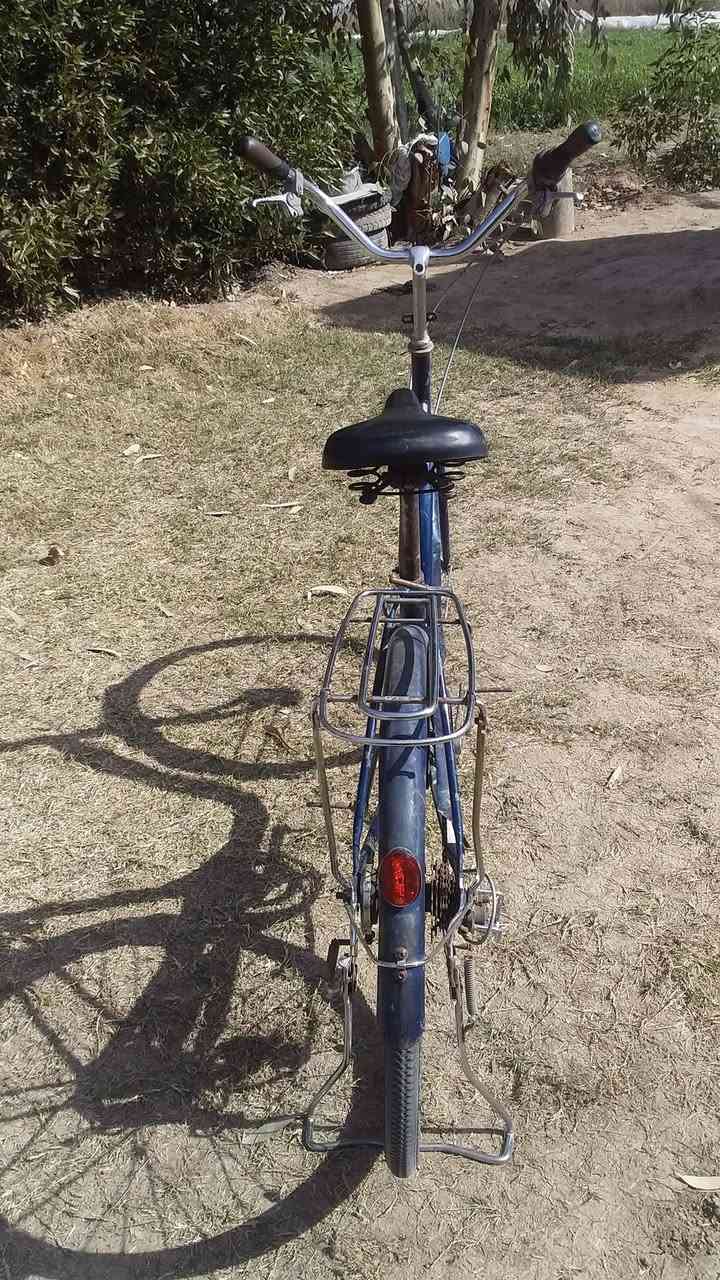 للبيع قيم بل يرضي الله


**إذا كنت صاحب هذا الإعلان وتريد حذفه لأي سبب، رجاءا أرسل رسالة إلى الدعم الفني**