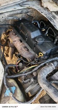 بريجو منغولي • ٢٠٠٥ • كفاله عامه